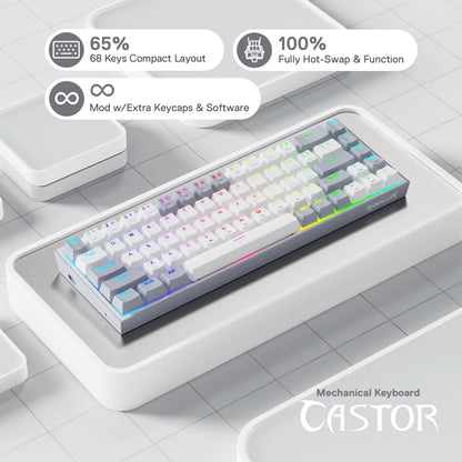 Redragon K631 Gery 65% Wired RGB Gaming Keyboard, Hot-Swappable